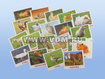 http://shop.vdm.ru/products_pictures/b52164.jpg